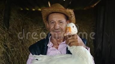 一个戴着草帽的<strong>老农</strong>夫正抱着一只活白鹅。 干草背景下一个白鹅男人的肖像